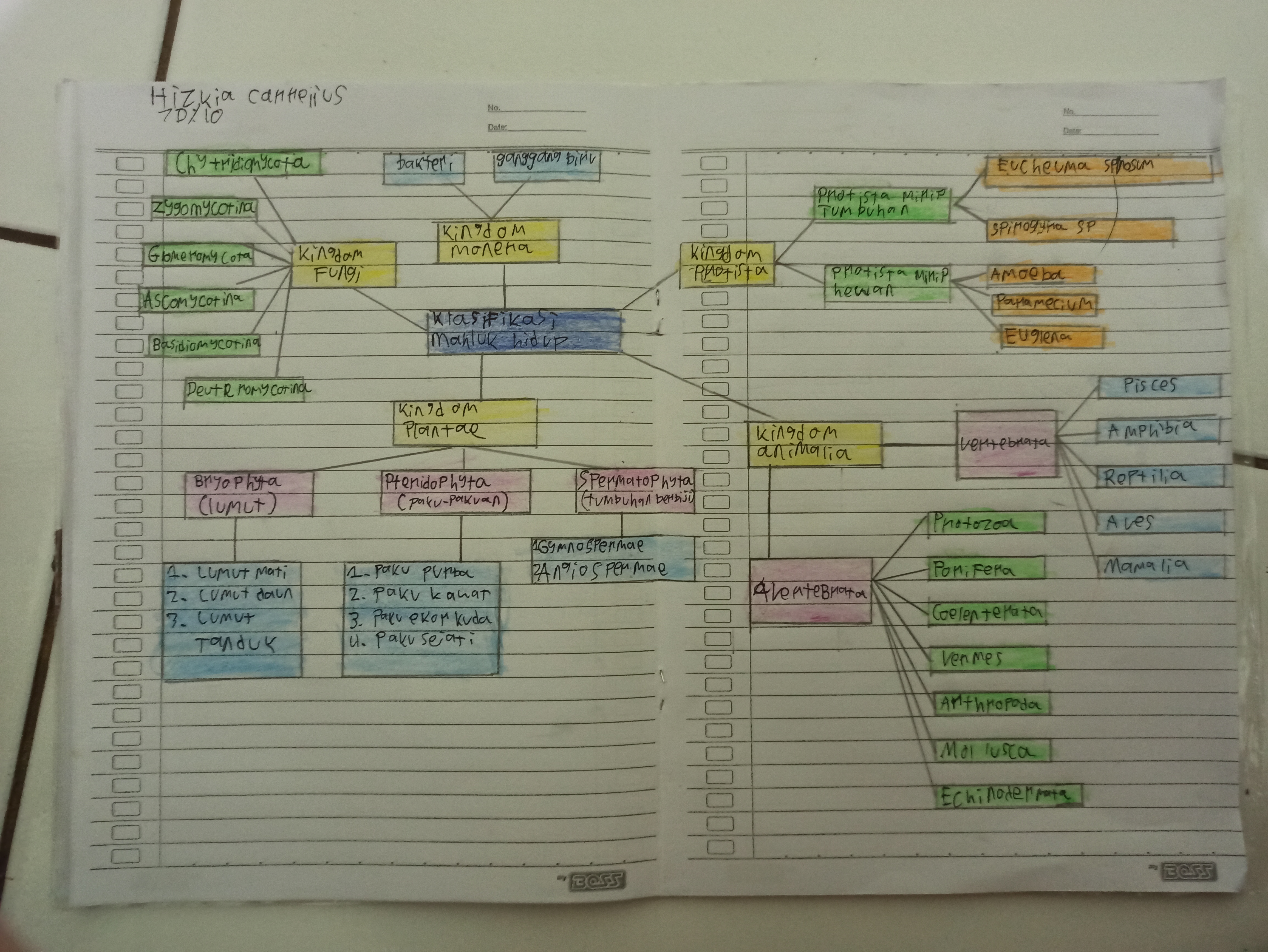 Sampul
